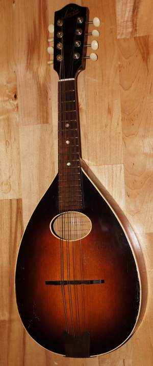 Levin mandolin 55